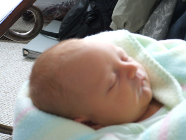 dscf0585.jpg